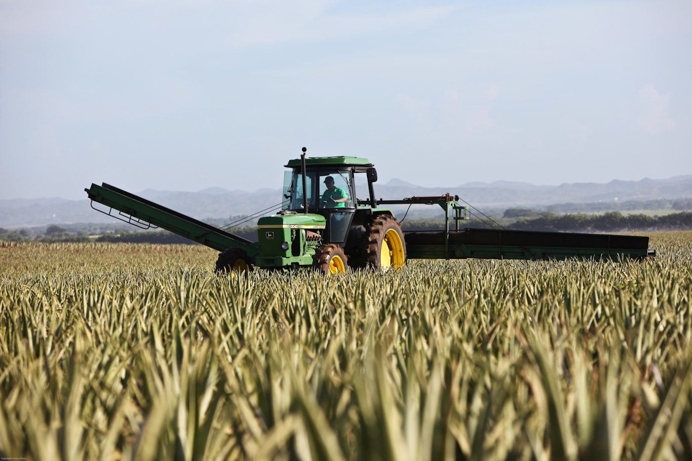 The future of agriculture: Agriculture 5.0
