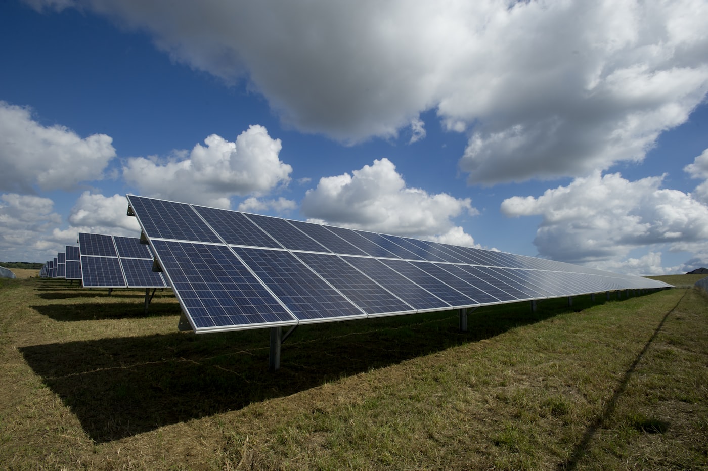 The role of the Netherlands in the green energy transition
